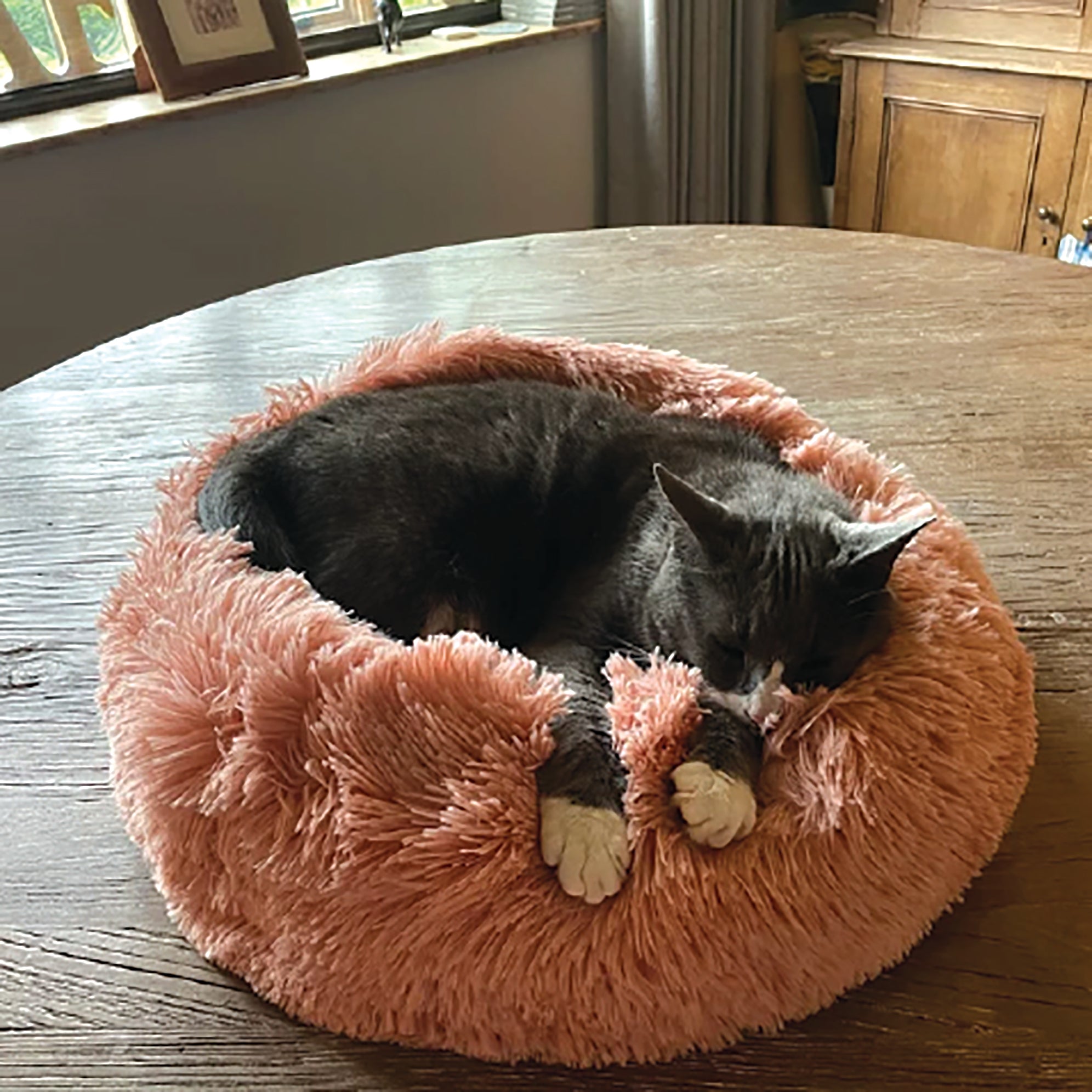 Soft Calming Donut Bed for Dogs and Cats, featuring a plush, fluffy design with raised edges for comfort and security.