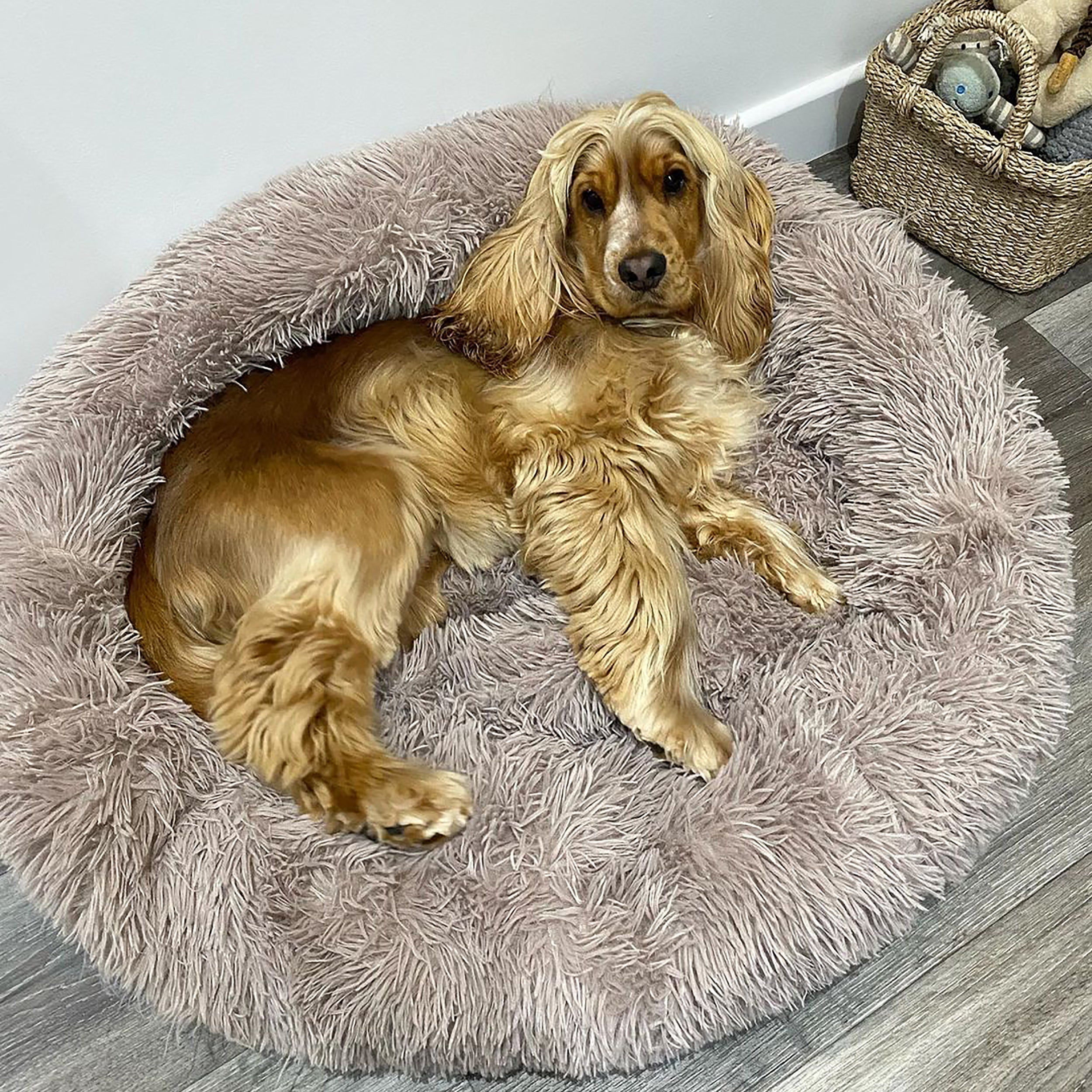 Soft Calming Donut Bed for Dogs and Cats, featuring a plush, fluffy design with raised edges for comfort and security.