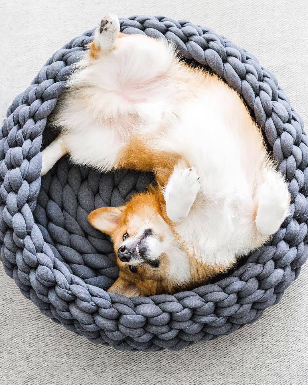 A cozy, handmade knit pet bed designed for small dogs and cats, featuring a soft, breathable fabric and a detachable design for easy washing.