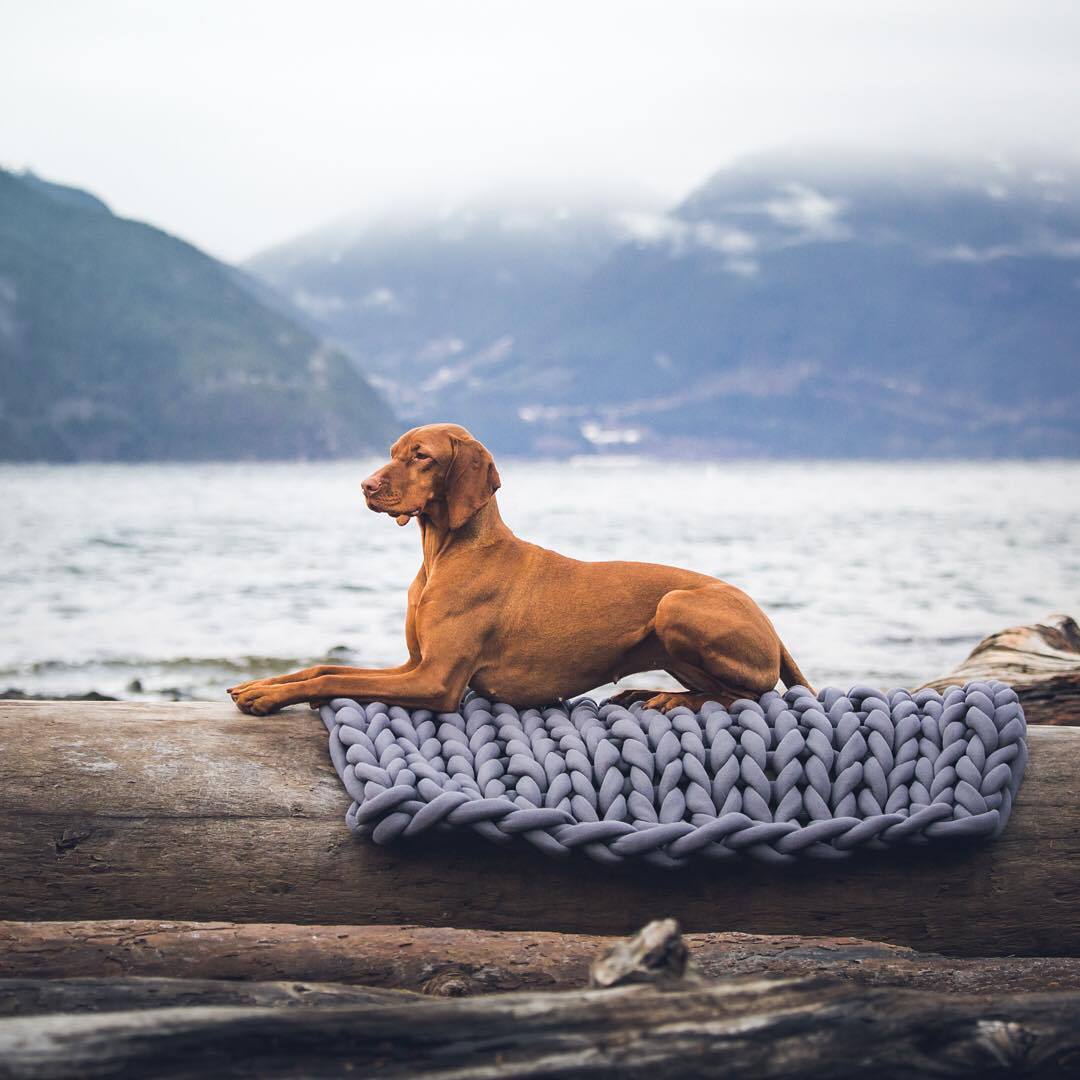 A cozy, handmade knit pet bed designed for small dogs and cats, featuring a soft, breathable fabric and a detachable design for easy washing.