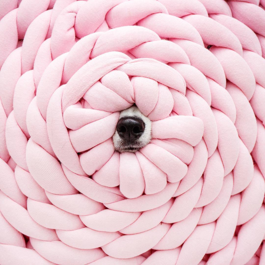 A cozy, handmade knit pet bed designed for small dogs and cats, featuring a soft, breathable fabric and a detachable design for easy washing.