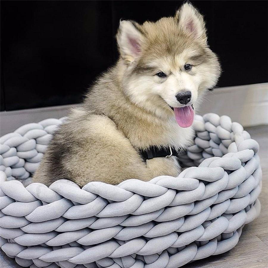 A cozy, handmade knit pet bed designed for small dogs and cats, featuring a soft, breathable fabric and a detachable design for easy washing.