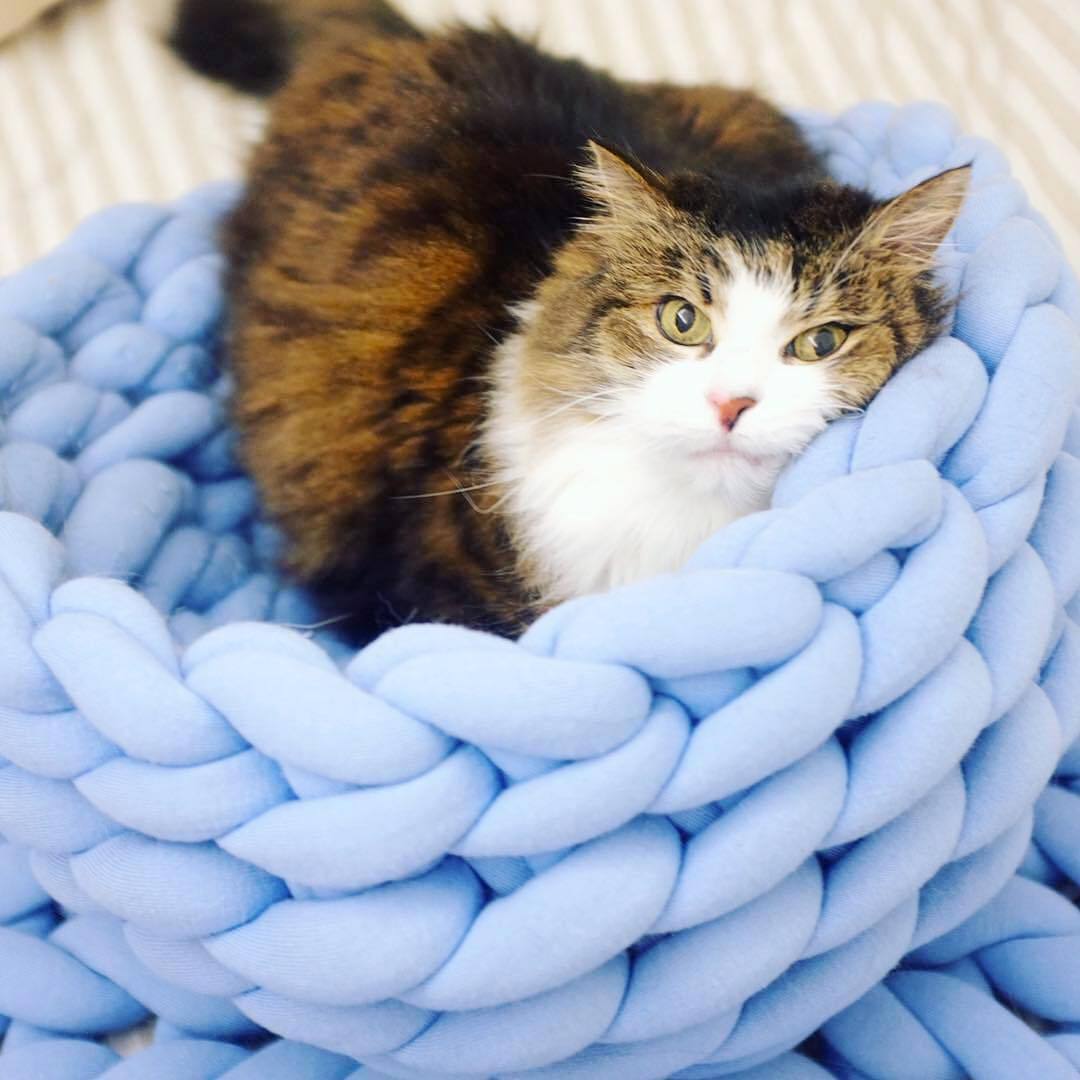A cozy, handmade knit pet bed designed for small dogs and cats, featuring a soft, breathable fabric and a detachable design for easy washing.