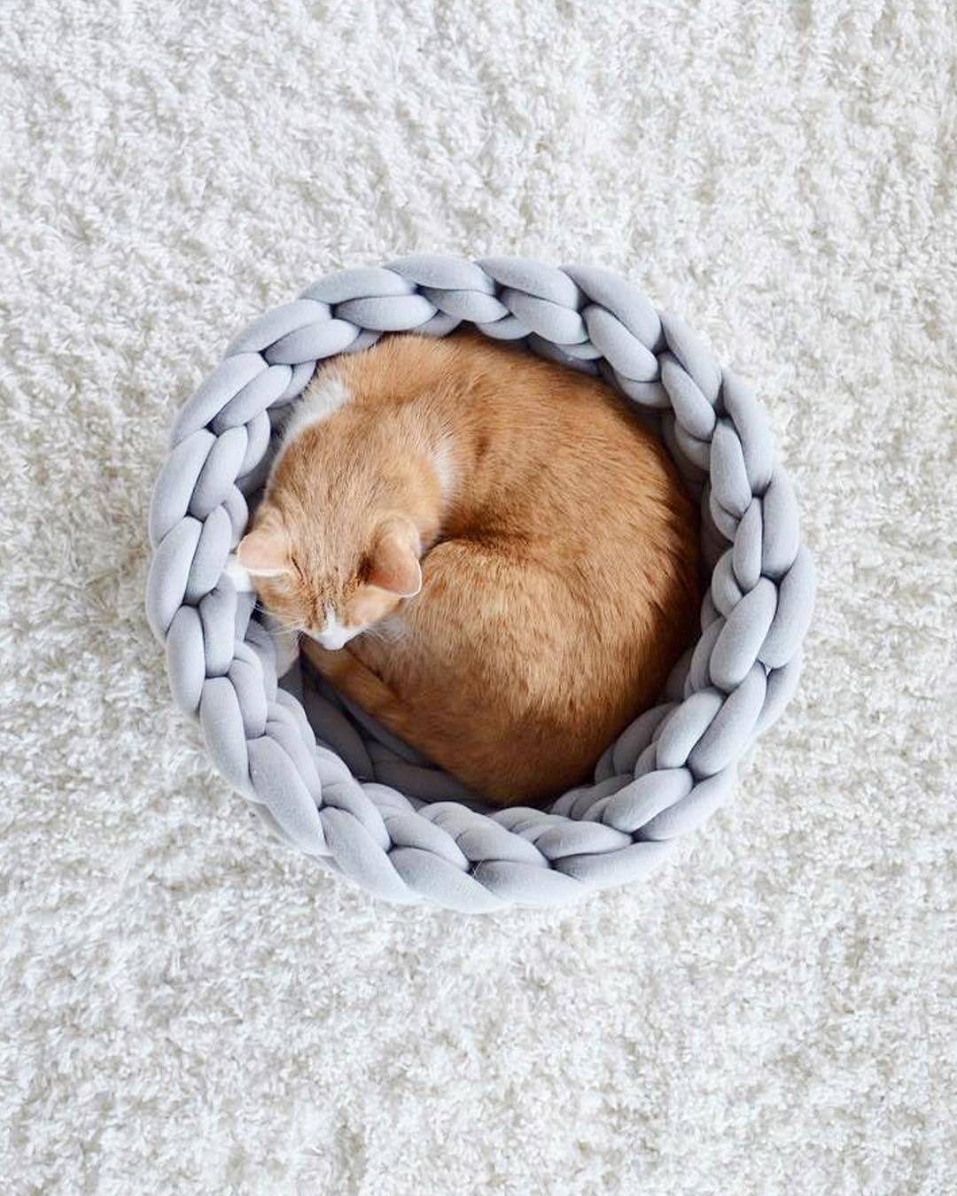 A cozy, handmade knit pet bed designed for small dogs and cats, featuring a soft, breathable fabric and a detachable design for easy washing.