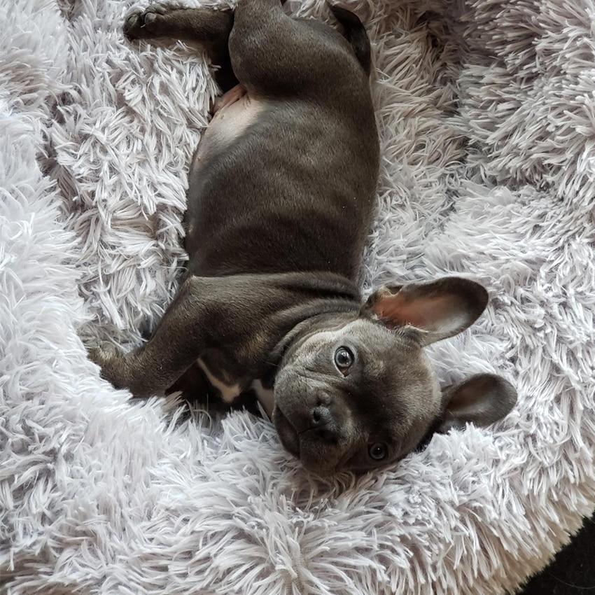 A soft, round dog bed made of plush coral fleece, designed for winter comfort, suitable for small and large dogs and cats.