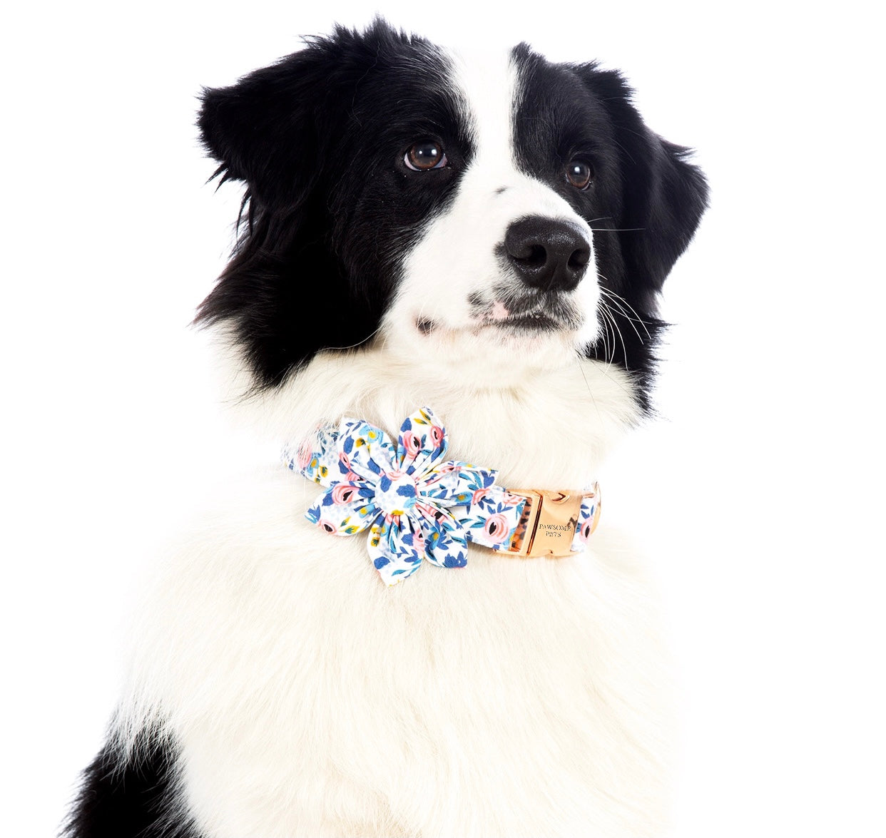 Pawsome Spring Day Collar & Leash Set featuring a double bow tie, handmade with 100% cotton, designed for dogs and cats.