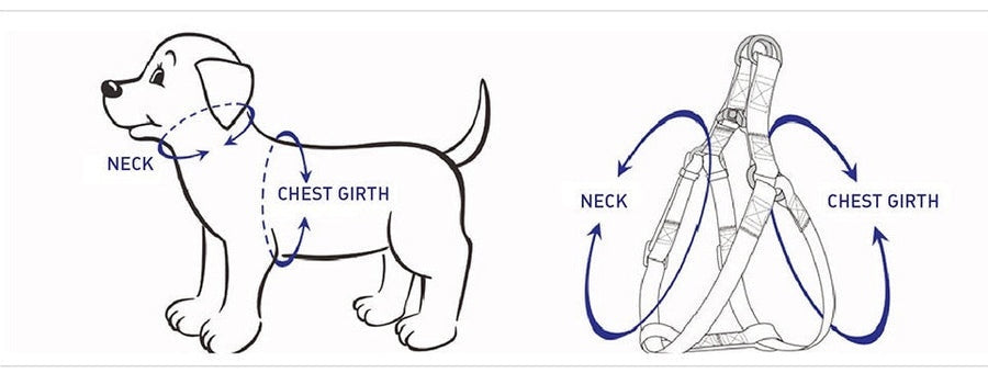 Light blue 5-piece pet walking set including harness, collar, leash, bowtie, and waste bag holder, designed for comfort and style.