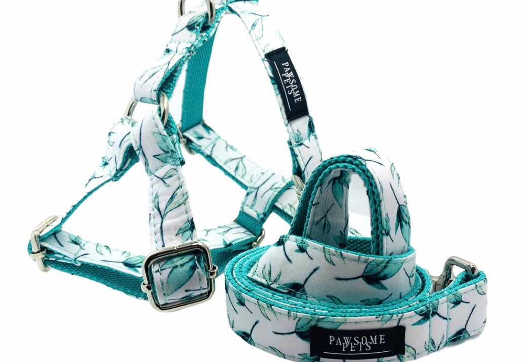 Two pieces of mint leaf patterned pet harnesses, showcasing durable construction and stylish design.