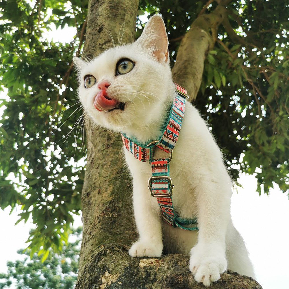 Two pieces of mint leaf patterned pet harnesses, showcasing durable construction and stylish design.