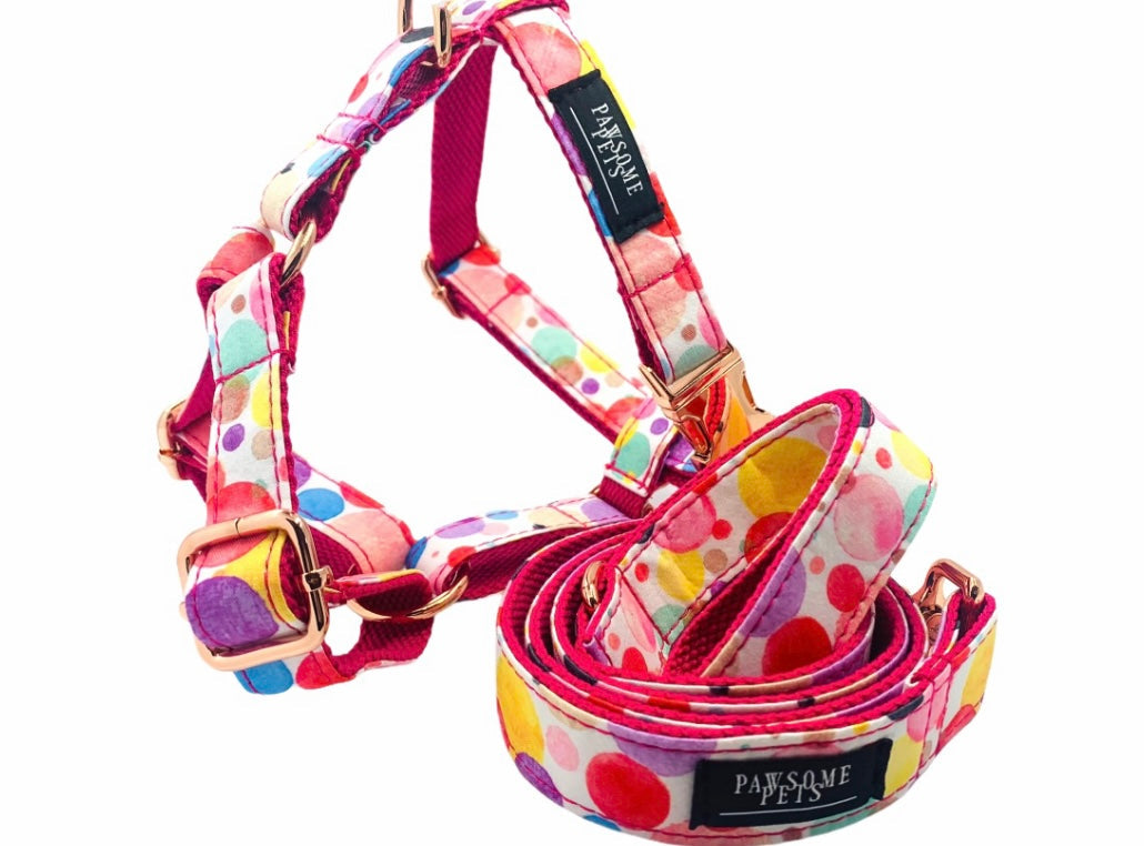 Two colorful pet harnesses from the STEP IN BUNDLE - OH MY BUBBLES, showcasing durable fabric and adjustable straps.