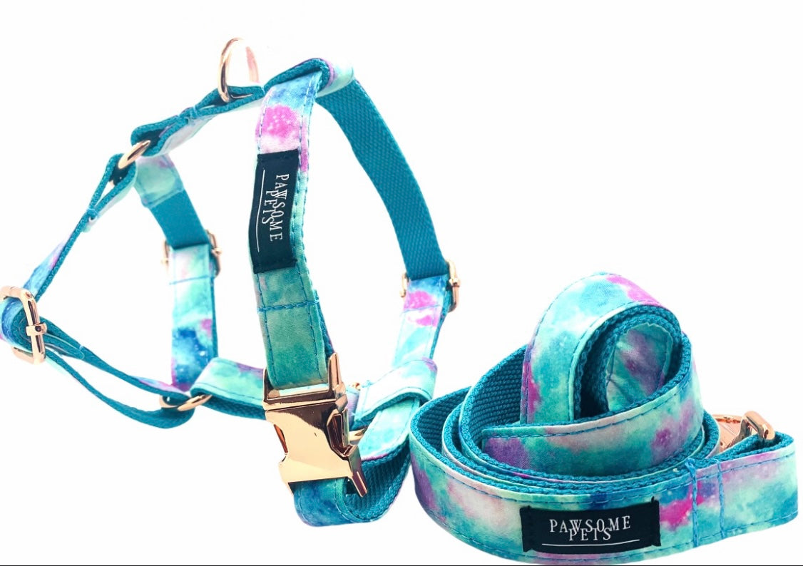 STEP IN BUNDLE - SKY featuring a durable pet harness set in vibrant colors, showcasing its stylish design and sturdy construction.