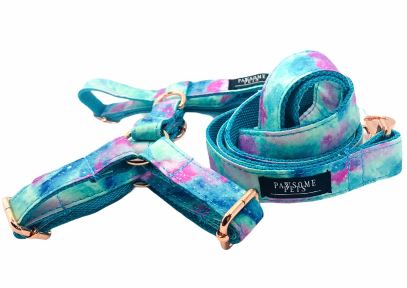 STEP IN BUNDLE - SKY featuring a durable pet harness set in vibrant colors, showcasing its stylish design and sturdy construction.