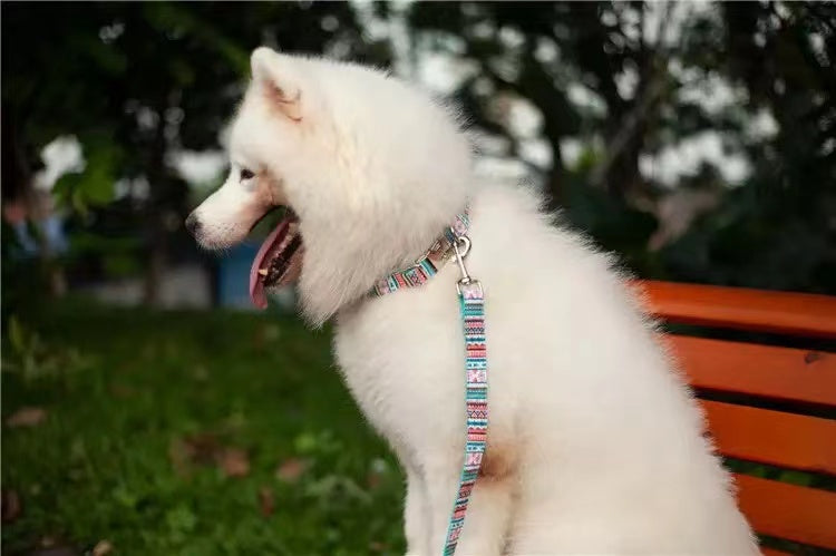 STEP IN BUNDLE - SKY featuring a durable pet harness set in vibrant colors, showcasing its stylish design and sturdy construction.