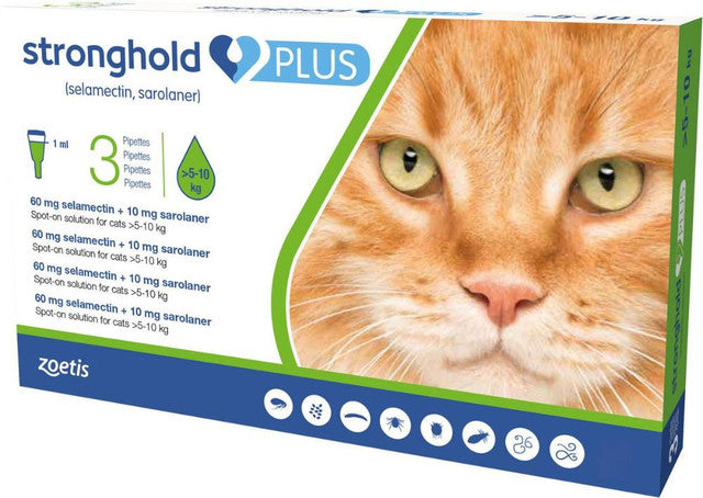 Stronghold Plus Spot-on for Cats & Kittens packaging, featuring three pipettes for parasite treatment.