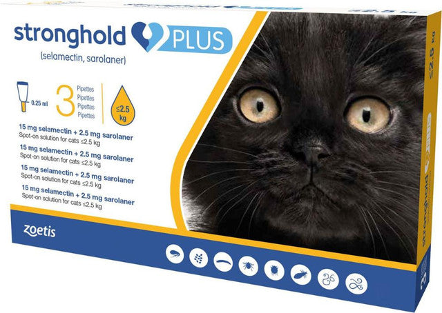 Stronghold Plus Spot-on for Cats & Kittens packaging with pipettes, designed for small cats up to 2.5 kg, effective against fleas and ticks.