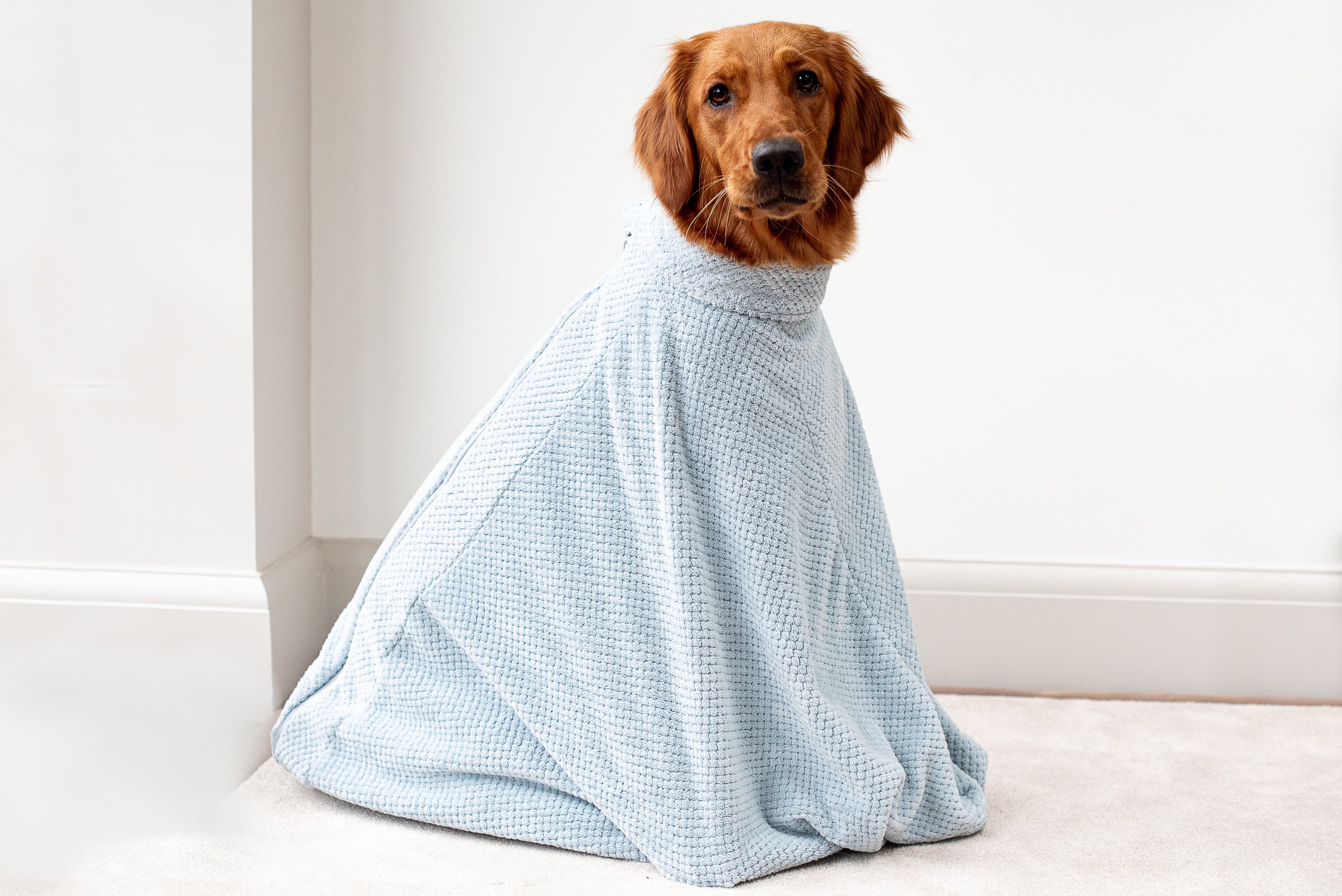 Super Absorbent Microfibre Dog Drying Bag in sky blue, designed to keep pets dry and comfortable after outdoor activities.