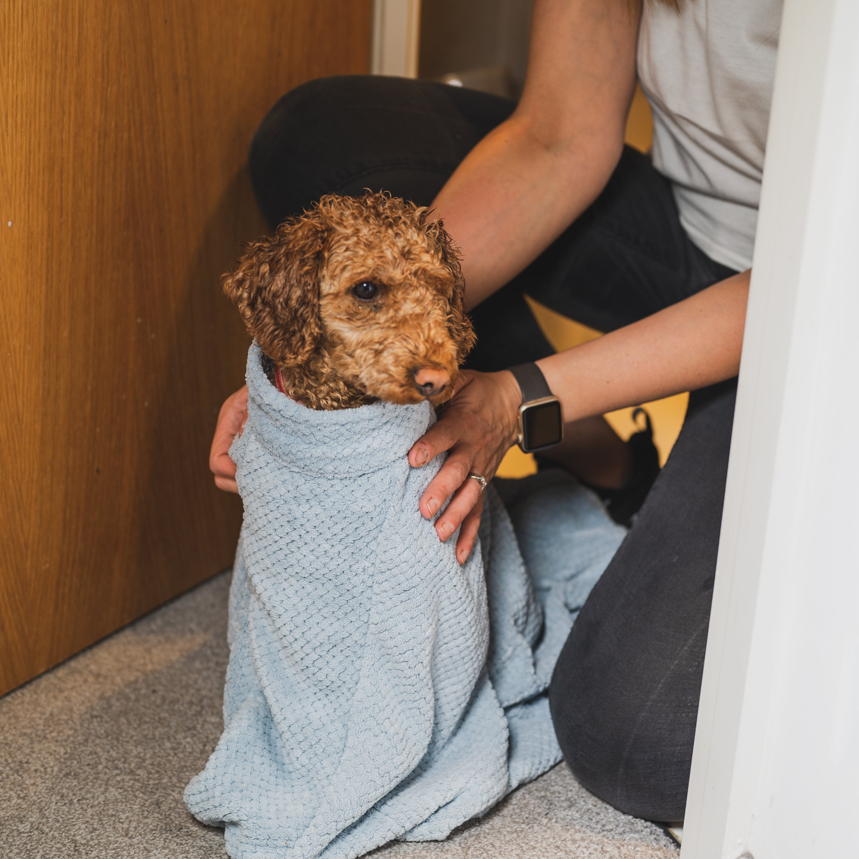 Super Absorbent Microfibre Dog Drying Bag in sky blue, designed to keep pets dry and comfortable after outdoor activities.
