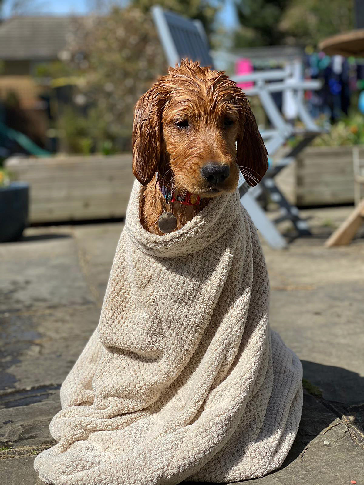Super Absorbent Microfibre Dog Drying Bag in sky blue, designed to keep pets dry and comfortable after outdoor activities.