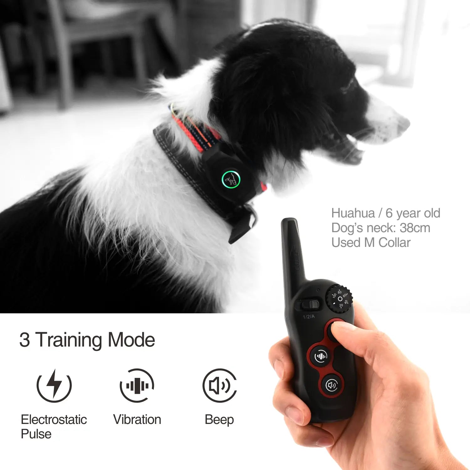 DB400 Remote Dog Bark & Training Collar with adjustable nylon strap and waterproof receiver, designed for effective dog training.