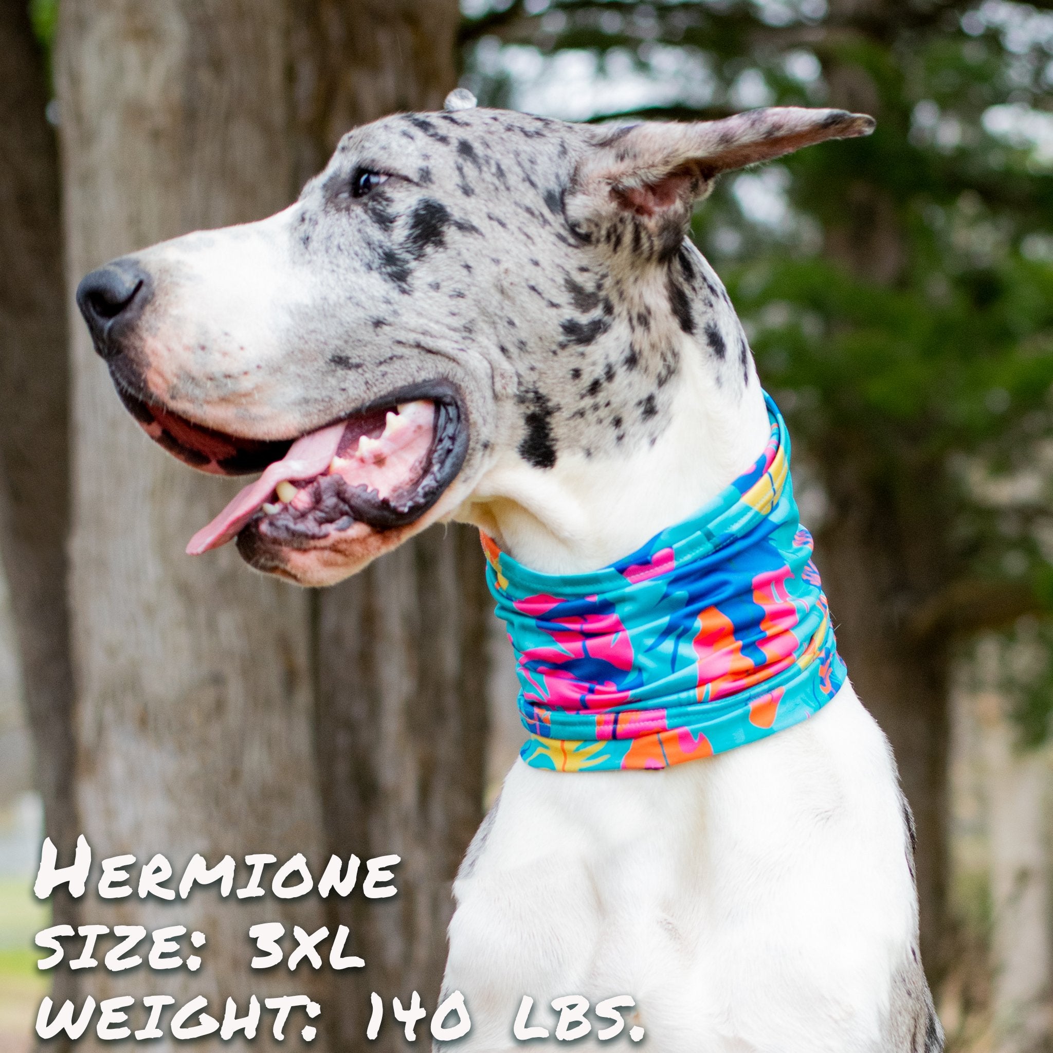 The Wanderer Pup Scruff in vibrant patterns, showcasing its breathable material and stylish design for dogs.