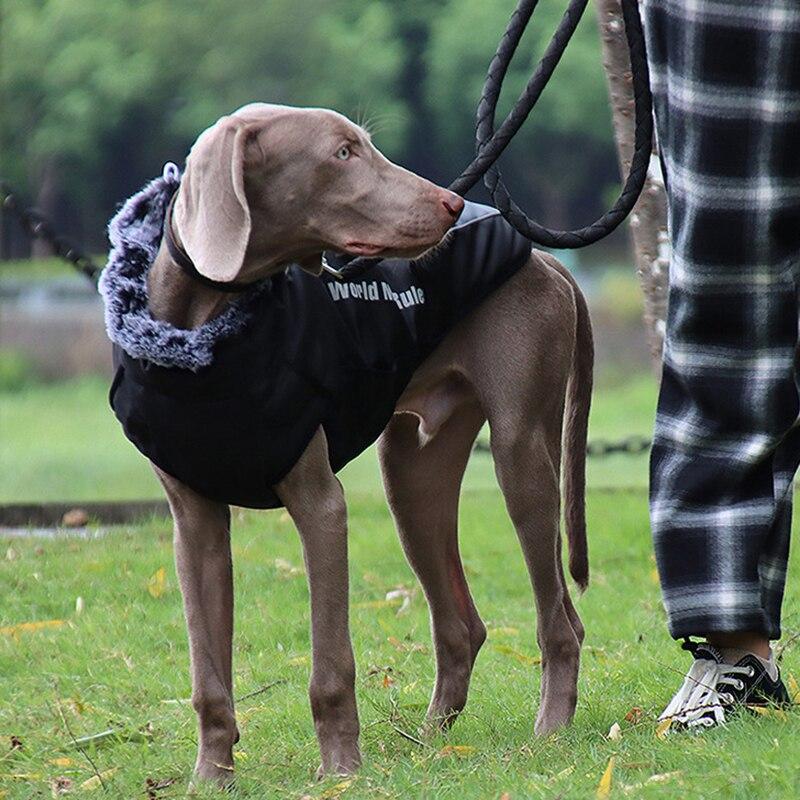 Thick waterproof dog coat with reflective strips and fur collar, suitable for large dogs like Golden Retrievers and Rottweilers.