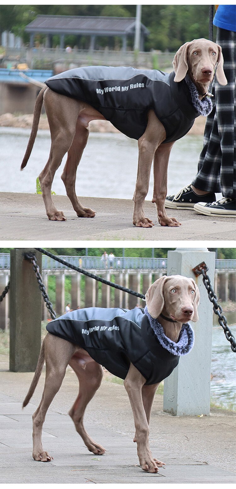 Thick waterproof dog coat with reflective strips and fur collar, suitable for large dogs like Golden Retrievers and Rottweilers.