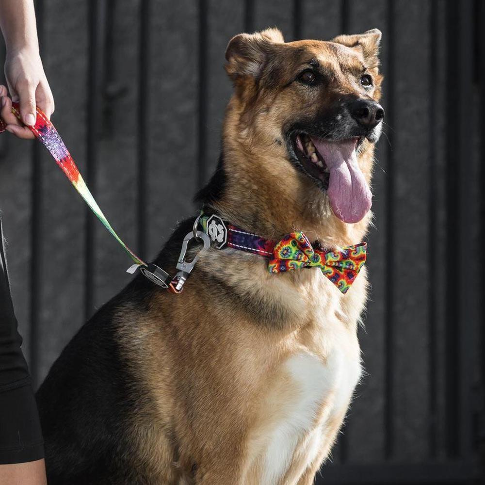 A colorful tie-dye bowtie for dogs, featuring vibrant reds, blues, yellows, and greens, made from soft polyester and adjustable for any collar size.