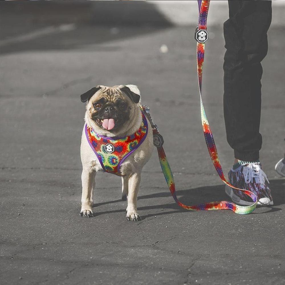 Colorful Tie-Dye leash with neoprene padded handle and reflective strips, designed for comfort and safety during walks.