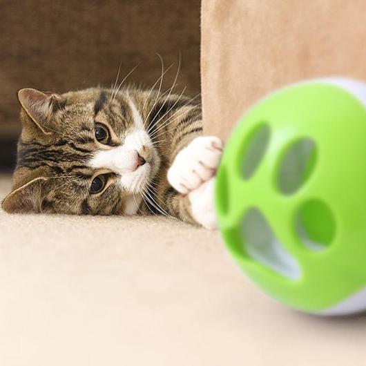 A colorful treat ball designed for cats, featuring LED lights and sound, promoting interactive play and slow feeding.