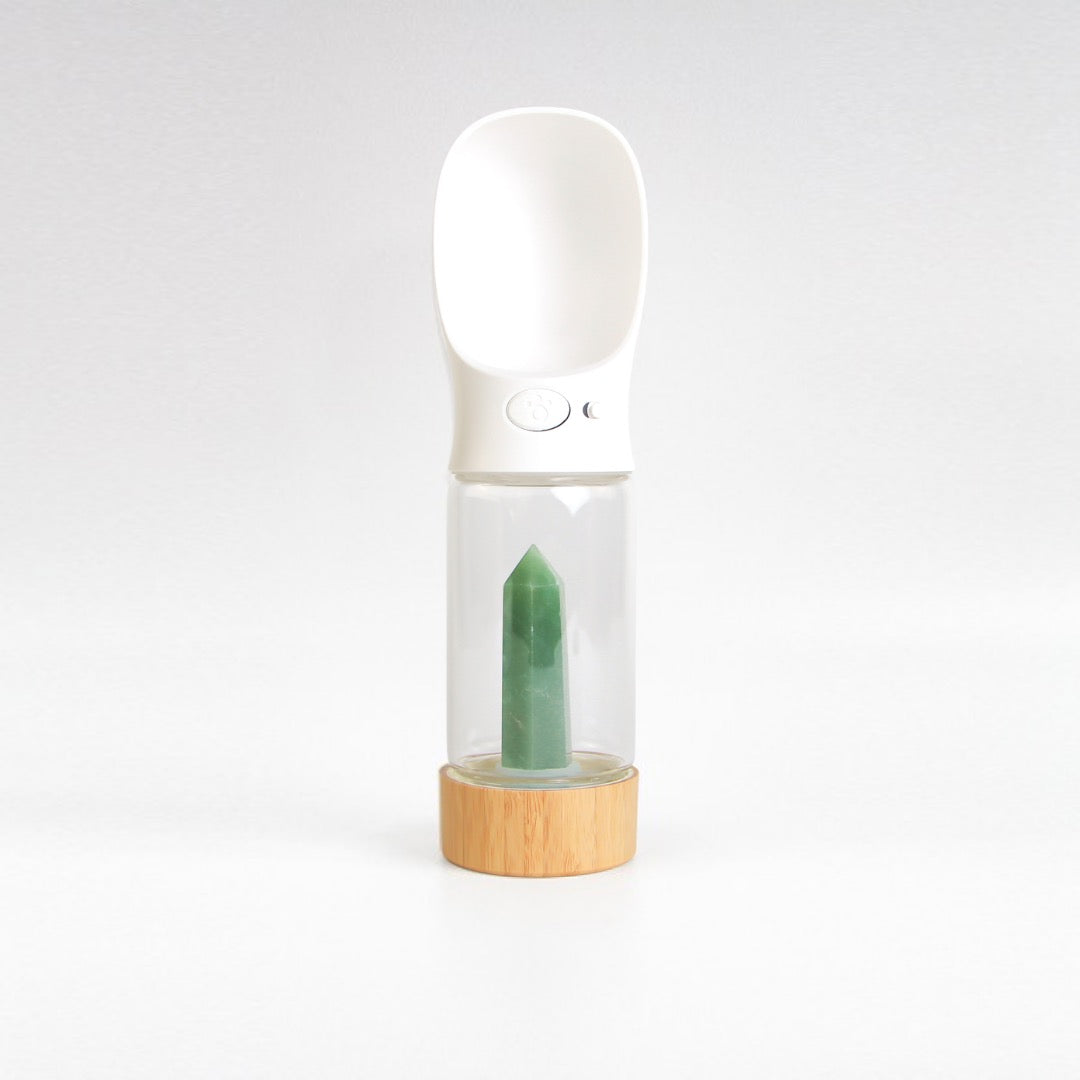 Urban Oasis crystal-infused water bottle with natural crystals, eco-friendly design, perfect for hydration on-the-go.