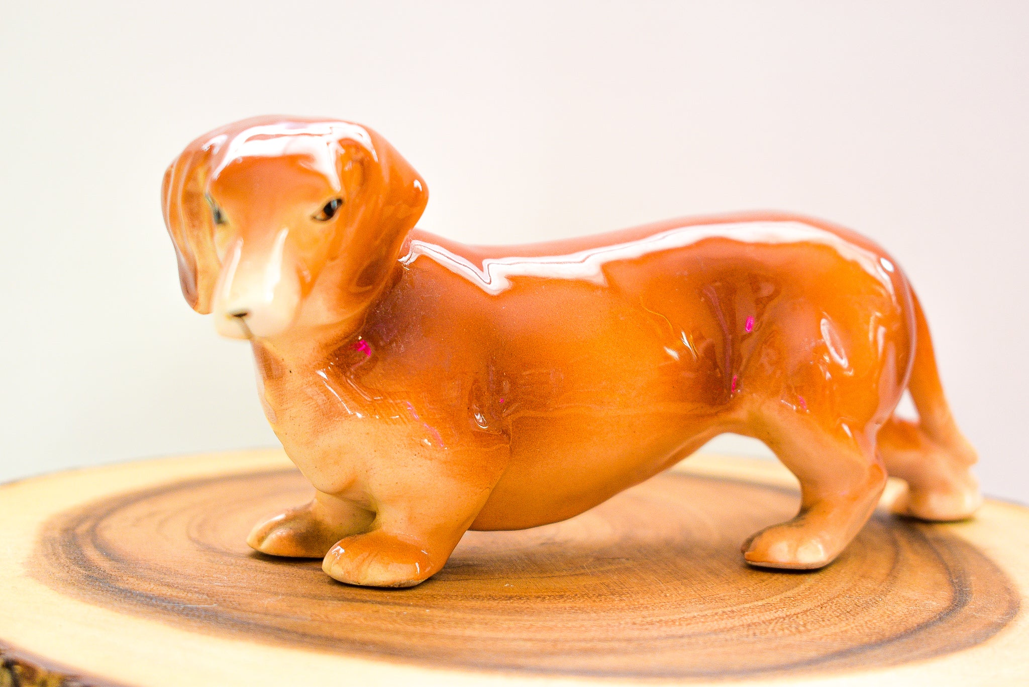 A charming vintage porcelain dachshund figurine, measuring approximately 8 x 3 inches, showcasing intricate details and craftsmanship.