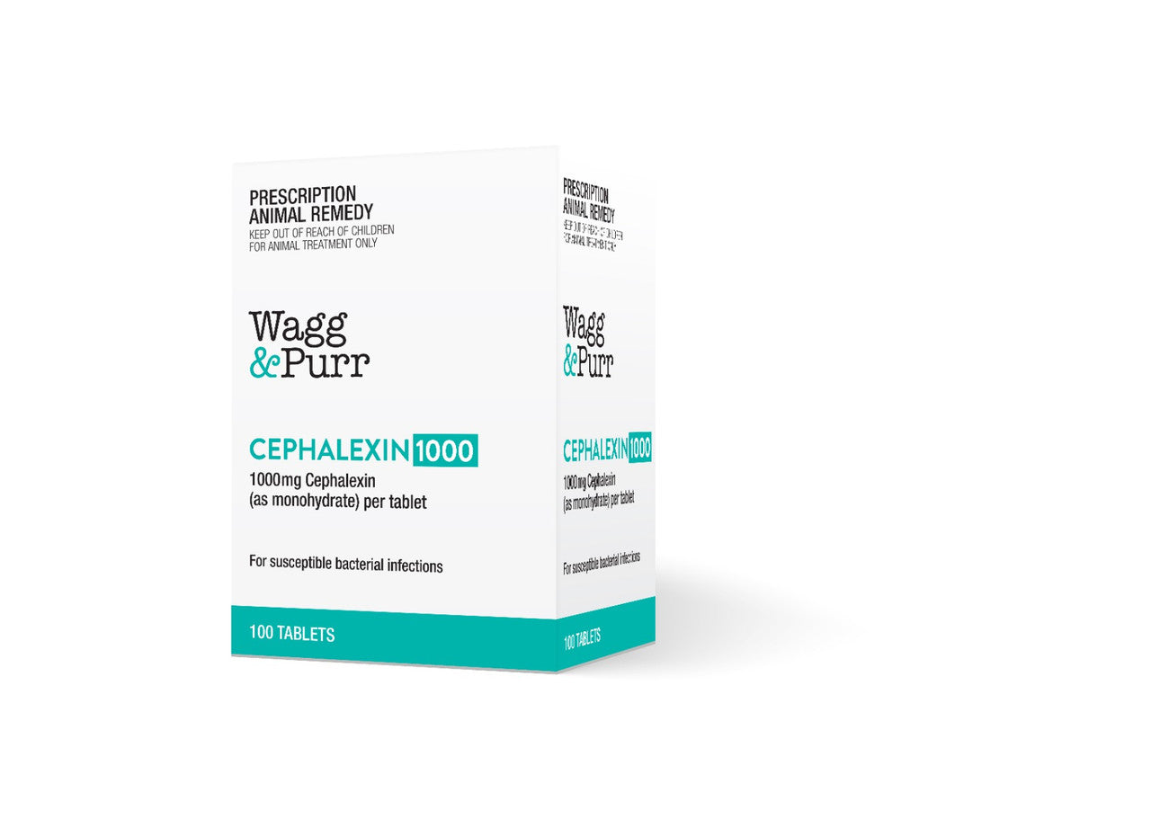 Wagg & Purr Cephalexin 1000mg for pets, 100 tablets in a premium pack.