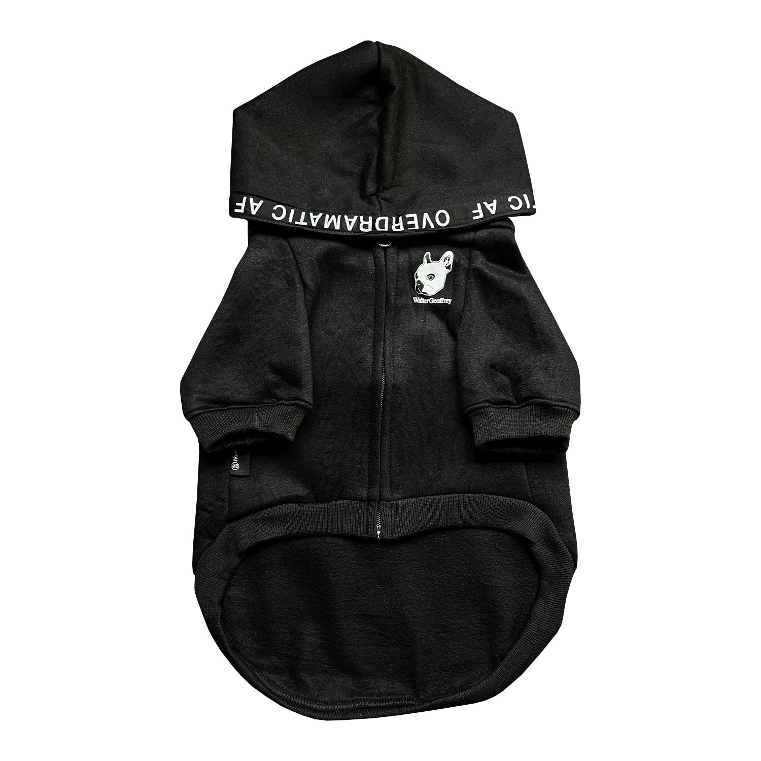 A stylish dog wearing the Walter Geoffery x Fresh Pawz Dramatic AF Hoodie, showcasing vibrant colors and a trendy design.