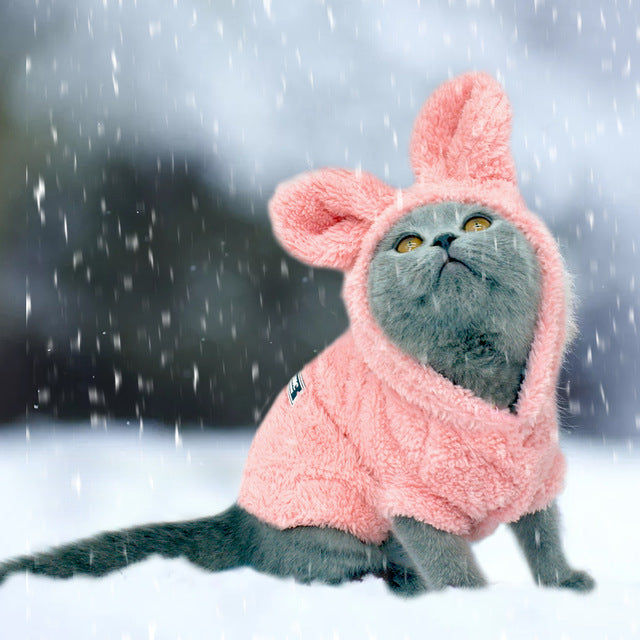 Warm Cat Clothes in gray and pink, designed for small and medium pets, made from soft cotton material for winter comfort.