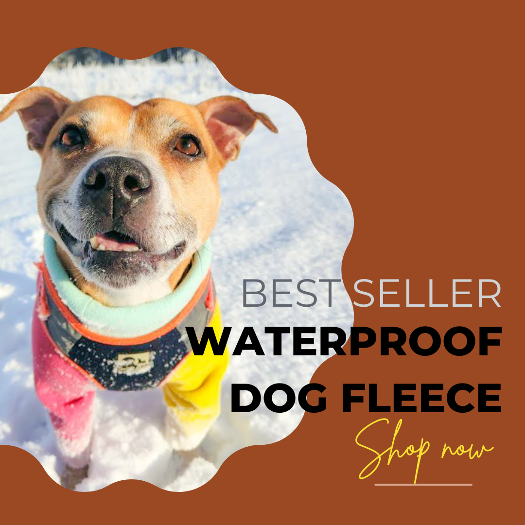 A stylish waterproof dog fleece in vibrant colors, designed for comfort and warmth, perfect for any dog.
