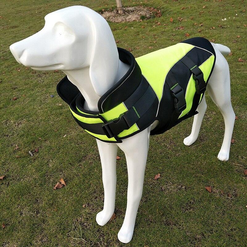 A warm and waterproof winter dog jacket in blue and red, designed for small to large dogs, featuring reflective strips for safety.