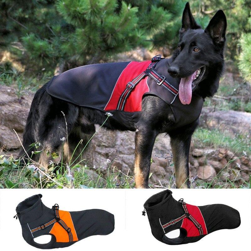 A small dog wearing a waterproof winter vest jacket, showcasing its stylish solid design and warm cotton material, perfect for cold weather.