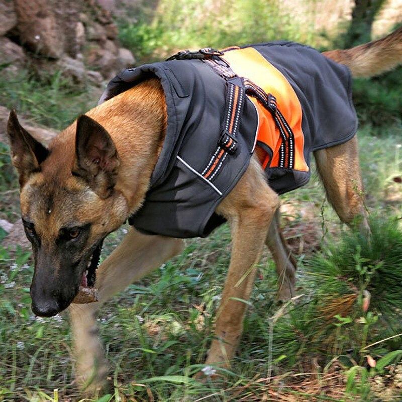 A small dog wearing a waterproof winter vest jacket, showcasing its stylish solid design and warm cotton material, perfect for cold weather.