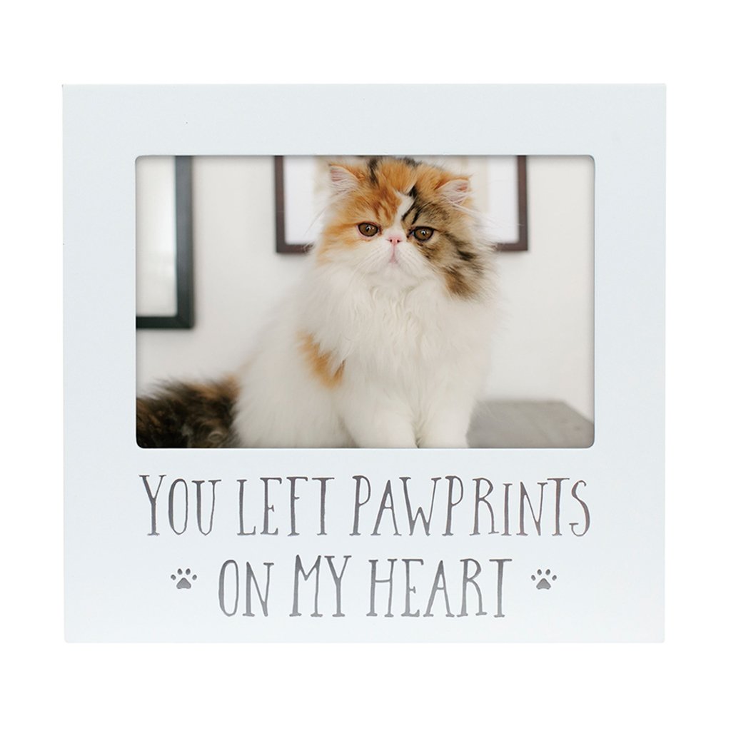 Fluffy cat framed with message.