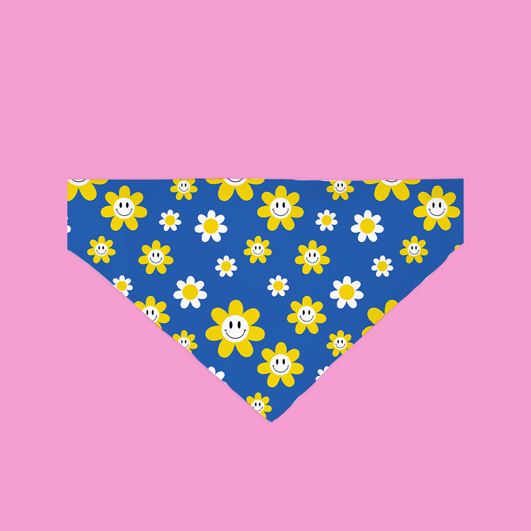 A colorful You Made My Daisy Bandana for dogs, featuring a floral pattern and made from soft polyester fabric, designed for a secure fit over a collar.