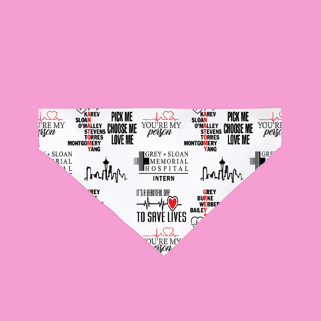 You're My Person Bandana for dogs, featuring a stylish design and ultra-soft fabric, perfect for any occasion.