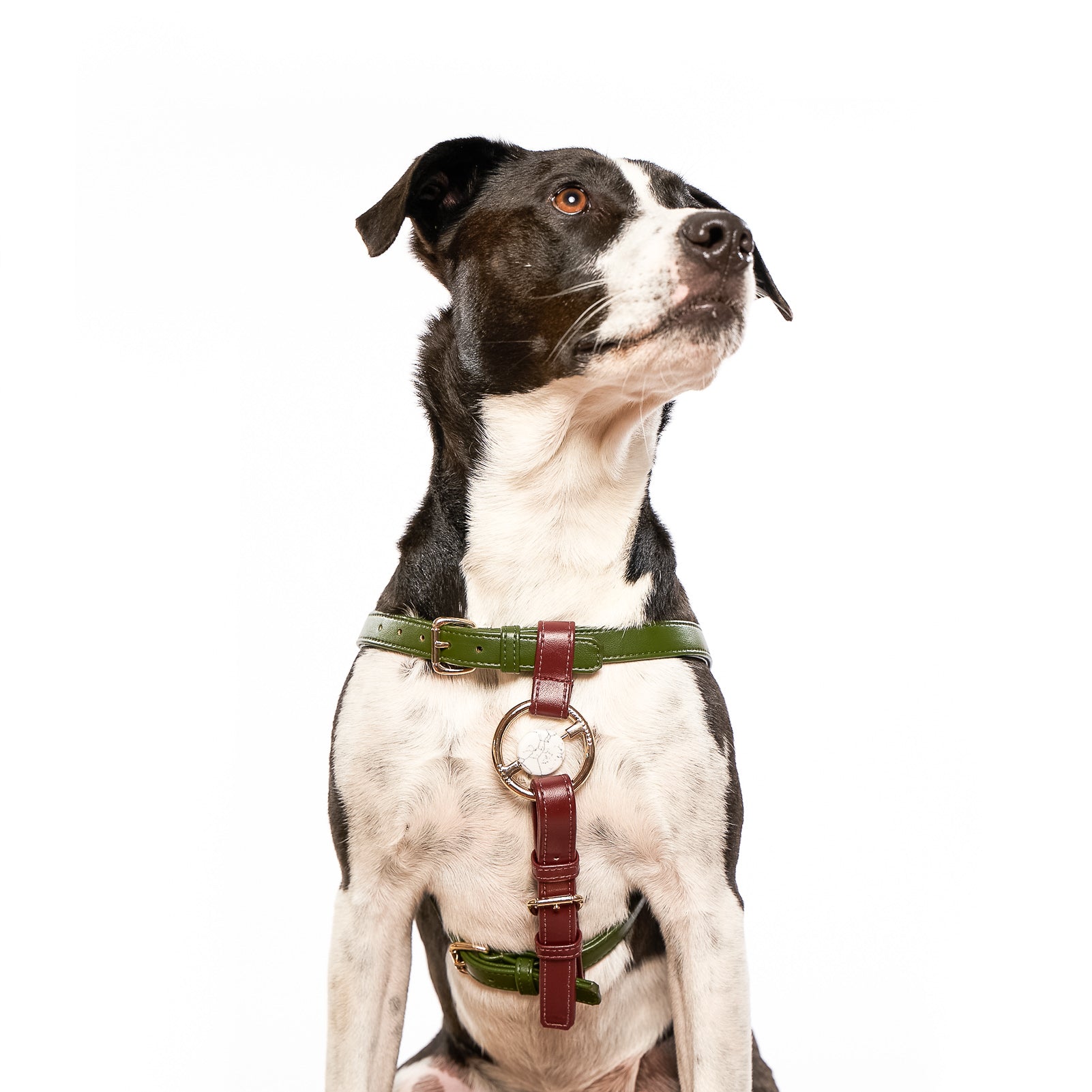 Zippy Peasy Harness in Nopal Green and Bordeaux Red with gold hardware, designed for comfort and safety.