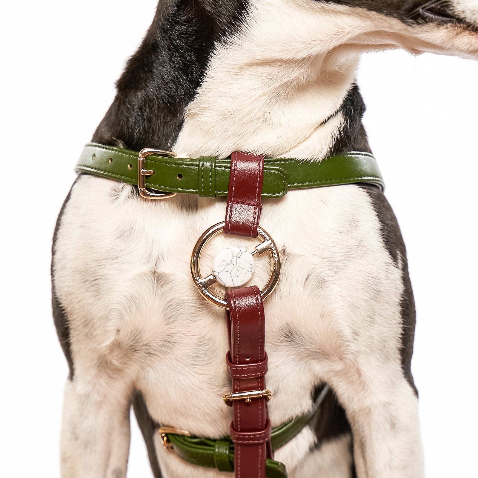 Zippy Peasy Harness in Nopal Green and Bordeaux Red with gold hardware, designed for comfort and safety.