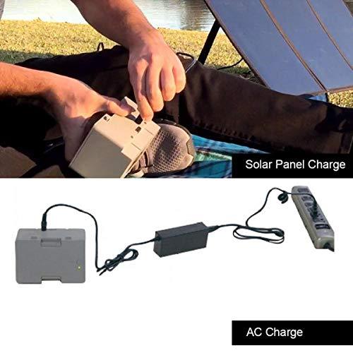 LionCooler 12.6V 3A Battery Charger with AC/DC power adapter, designed for solar freezer batteries.
