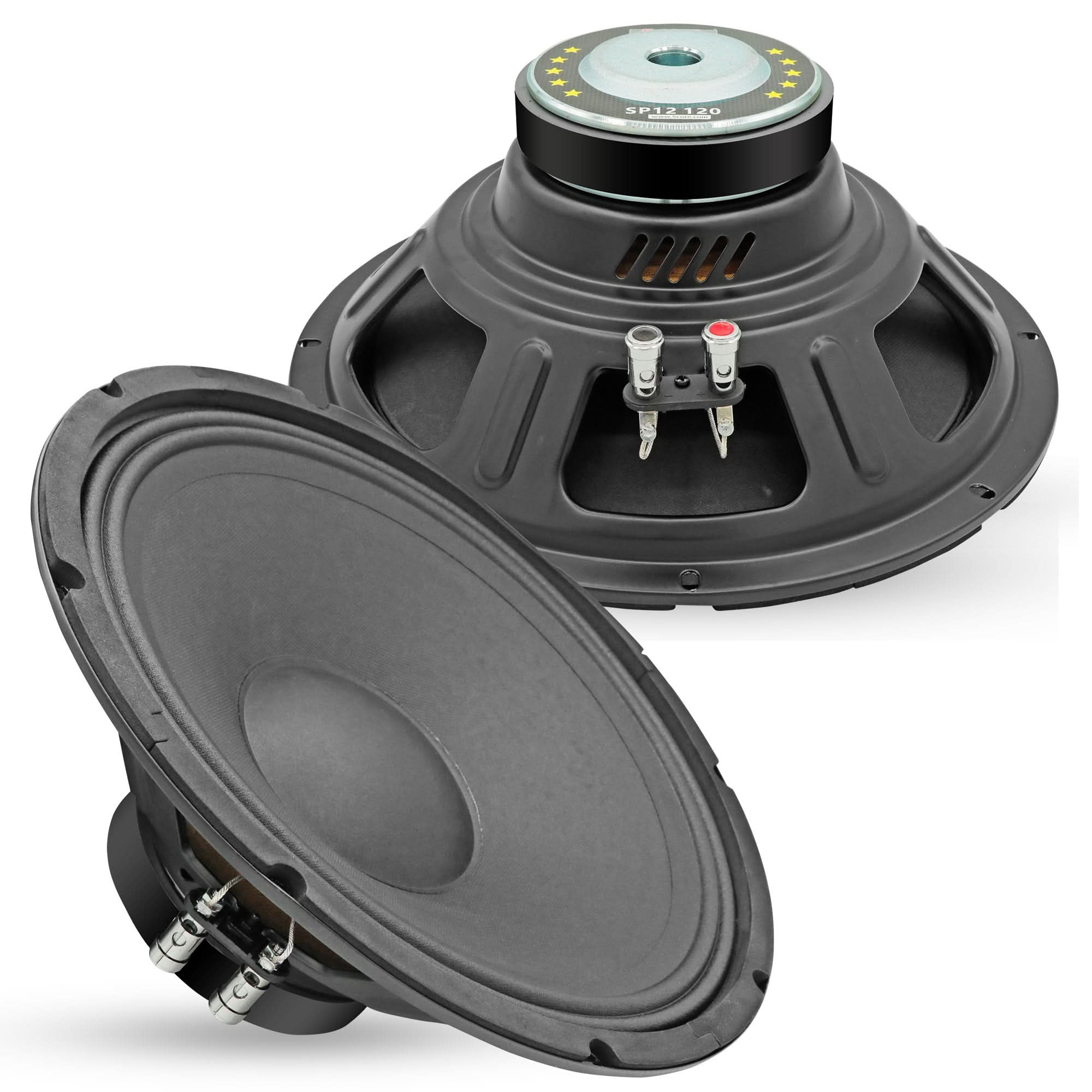 5Core 12 Inch DJ Subwoofer Speaker showcasing robust design and features for powerful audio performance.