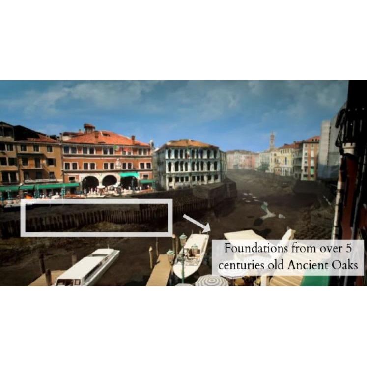 Handcrafted Venice phone case featuring the Lion of St. Marco, made from ancient oak wood, showcasing its unique grain and engraving.