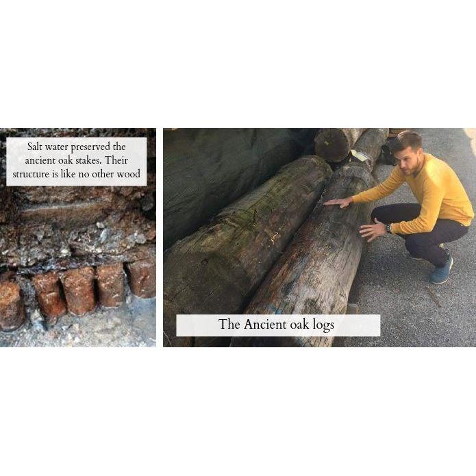 Handcrafted Venice phone case featuring the Lion of St. Marco, made from ancient oak wood, showcasing its unique grain and engraving.