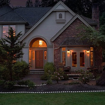 50 LED Bright White Solar Rope Light illuminating a garden pathway with vibrant white light.