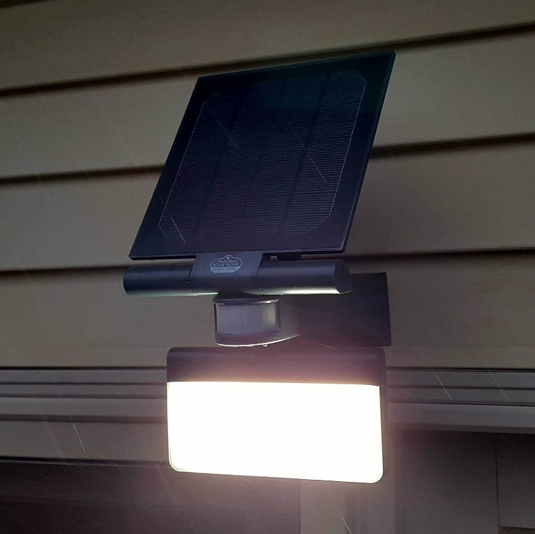 Pacific Accents 100 LED Solar Flood Light with adjustable solar panel and motion sensor, designed for outdoor use.