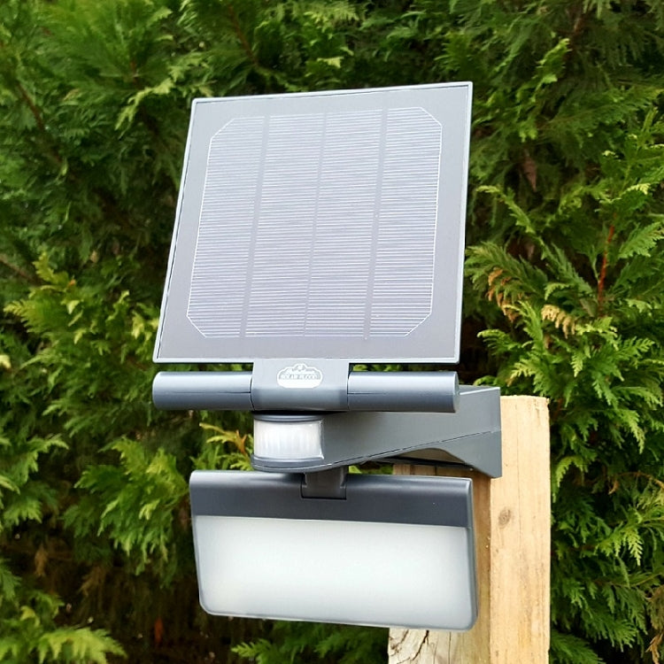 Pacific Accents 100 LED Solar Flood Light with adjustable solar panel and motion sensor, designed for outdoor use.